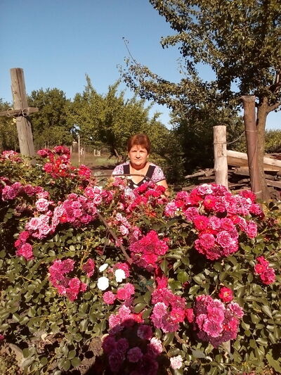  ,   , 56 ,   ,   , c 
