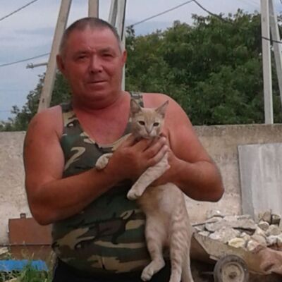 ,   , 63 ,   ,   , c 