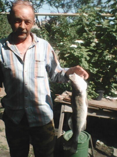  ,   , 65 ,   ,   , c 