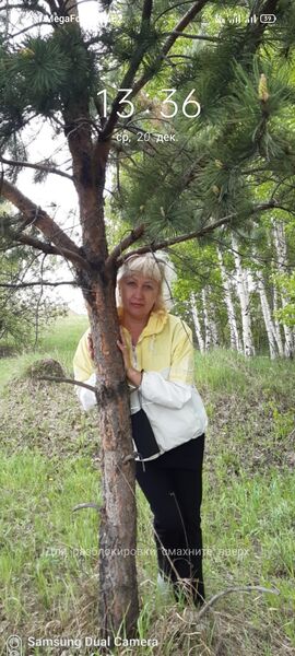  ,   , 61 ,     , c 