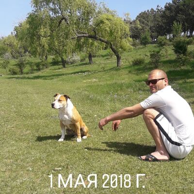  ,   Vasea, 36 ,   ,   , c 