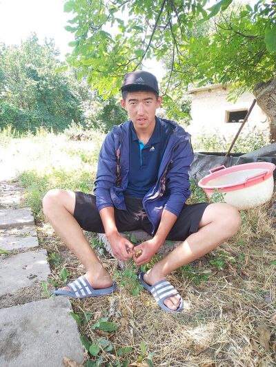  ,   Kaniet, 23 ,   ,   , c 