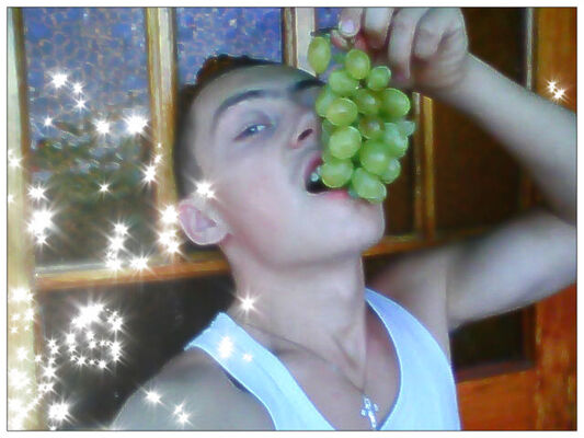  ,   Vaseapupkin, 43 ,   ,   , c 