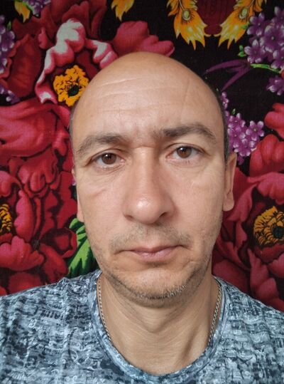  ,   , 40 ,   ,   , 