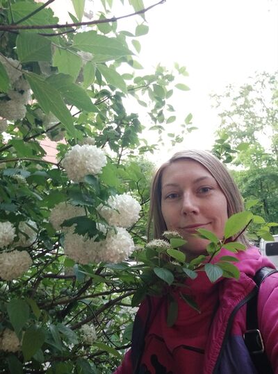  ,   , 38 ,     , c , 