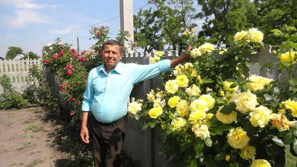  ,   , 71 ,   ,   , c , 