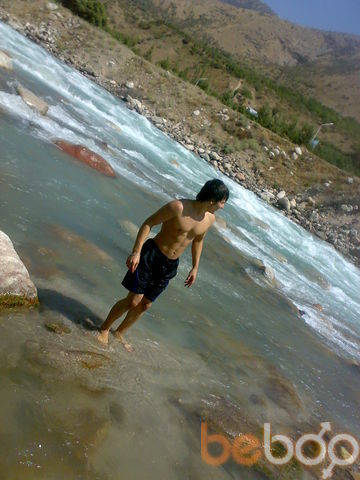  ,   _T_I_M_A_, 38 ,   