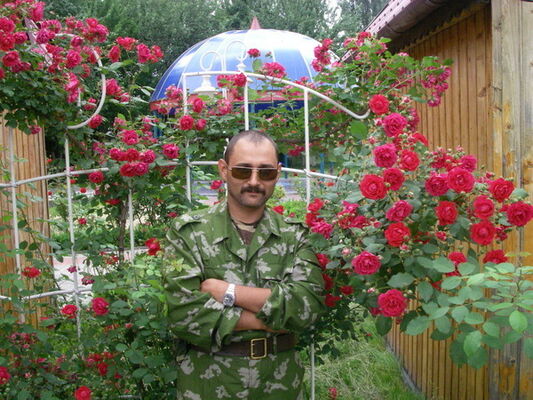  ,   ˸, 53 ,   