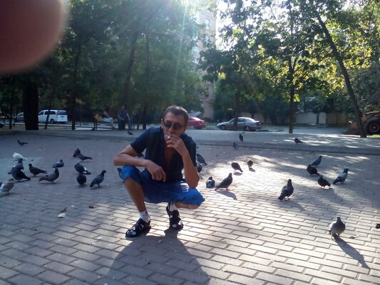  ,   Romaha1, 52 ,   
