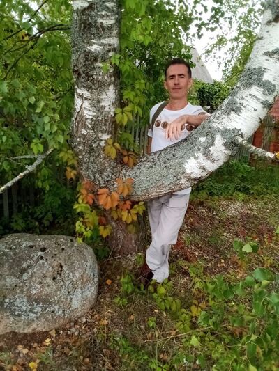  -,   , 44 ,   