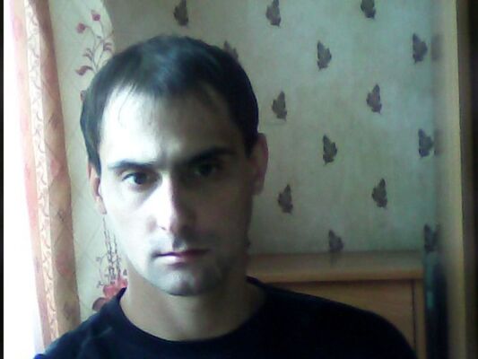  ,   ˸, 41 ,   ,   , c 