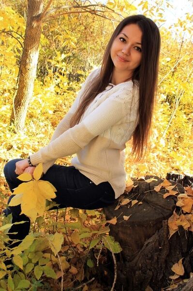  Novy,   , 25 ,   ,   