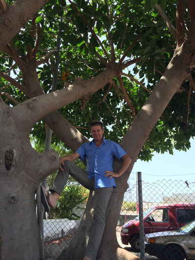  Santa Cruz de Tenerife,   David, 28 ,     , c 