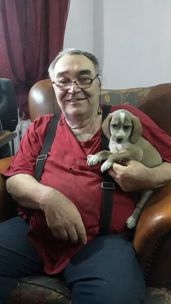  ,   , 63 ,  