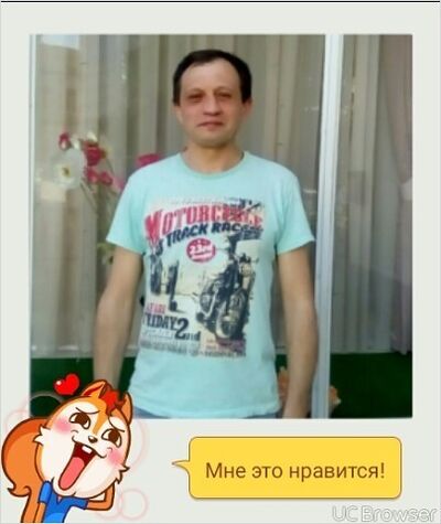  --,   , 54 ,   
