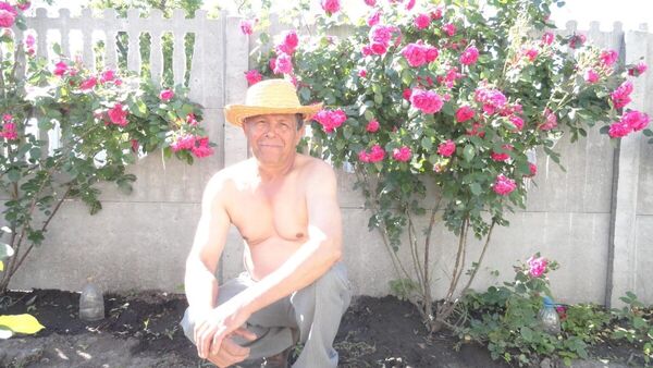  ,   , 71 ,   ,   , c , 