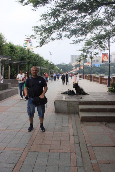  ,   , 55 ,  