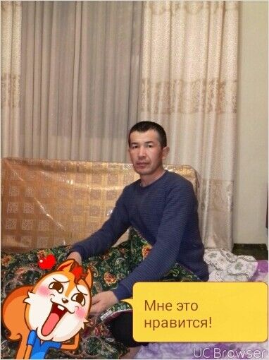  -,   , 52 ,  