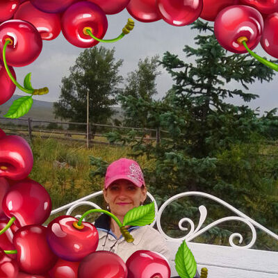  ,   , 55 ,  