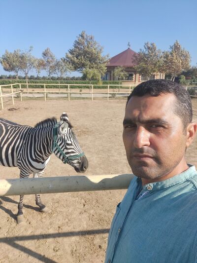  ,   Vusal, 46 ,   ,   , c 
