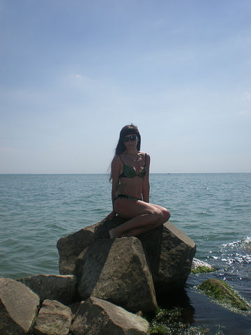  ,   , 44 ,   