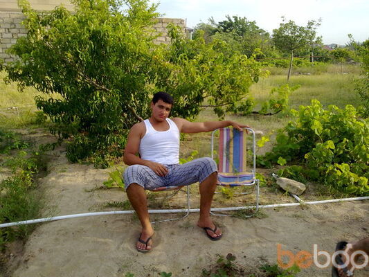  ,   Qasan4ikk, 37 ,   ,   , c 