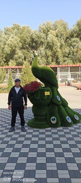  ,   , 42 ,   ,   