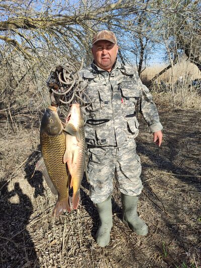  ,   , 62 ,   ,   , c 