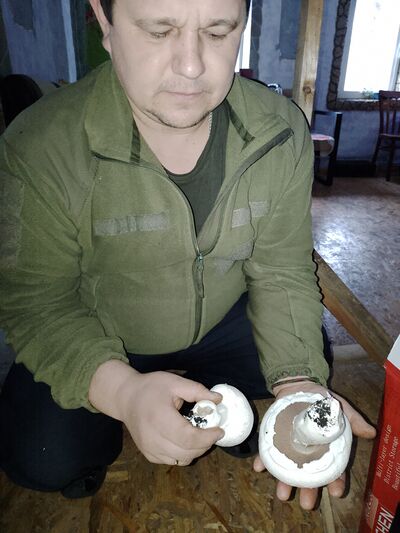  ,   , 42 ,   c 