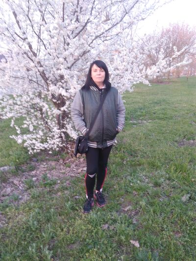  ,   , 54 ,  