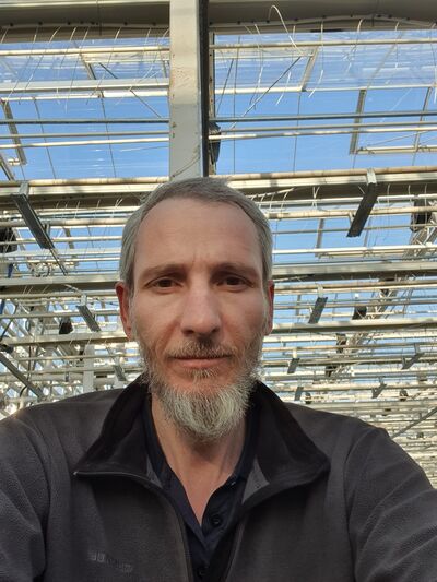 ,   Renat, 38 ,     , c 