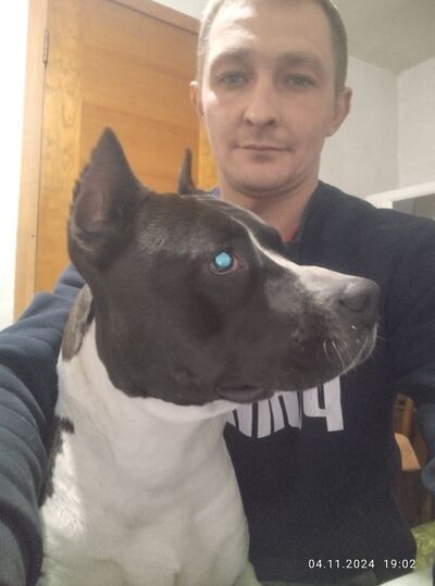  --,   Alexey, 31 ,   ,   , c , 