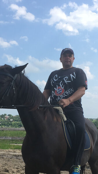  ,   , 54 ,   