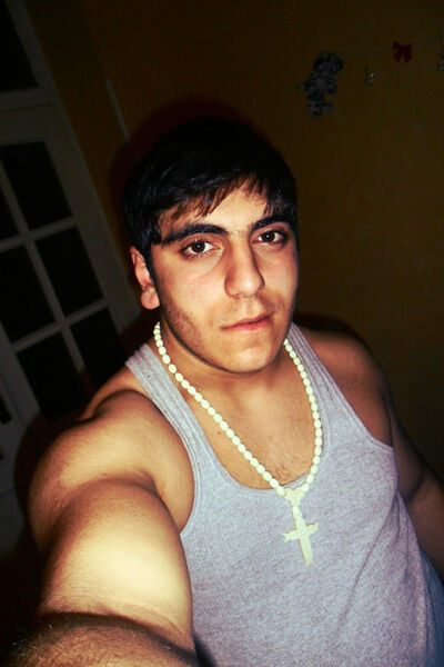  ,   HOVO, 33 ,     , c 