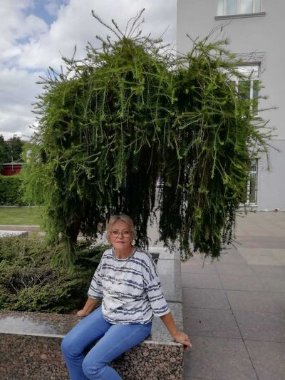  ,   , 67 ,   ,   , 