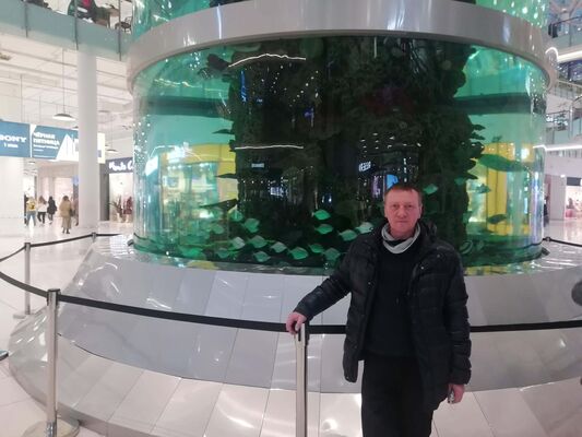  ,   , 53 ,  