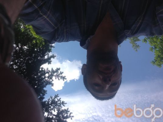  3205675  Zet806, 49 ,    