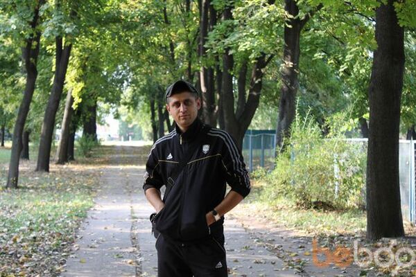  ,   Vitek, 42 ,     , c 
