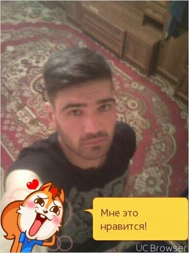  8677485  , 33 ,    -