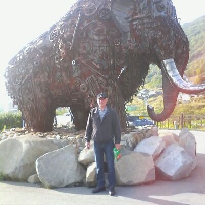  ,   , 54 ,   