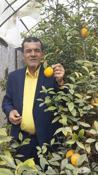  ,   , 71 ,     