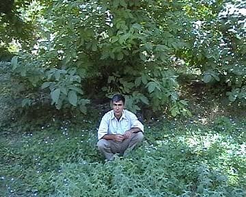  ,    , 41 ,   