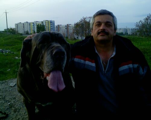  ,   , 61 ,   ,   , c 