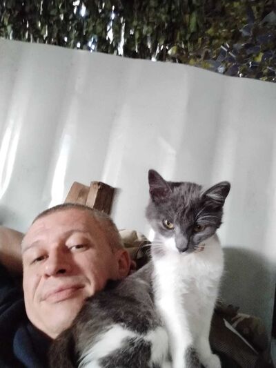  ,   , 44 ,   ,   