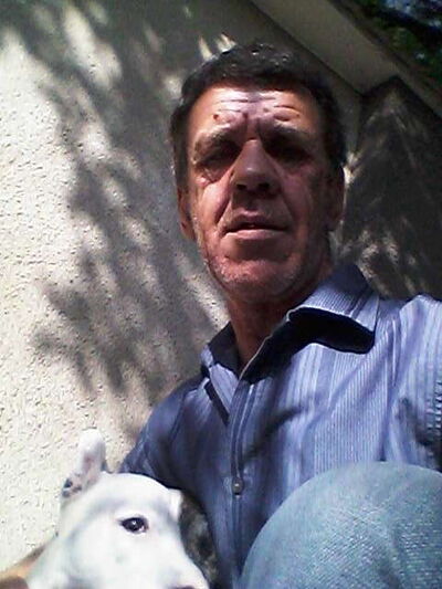 ,   , 62 ,  