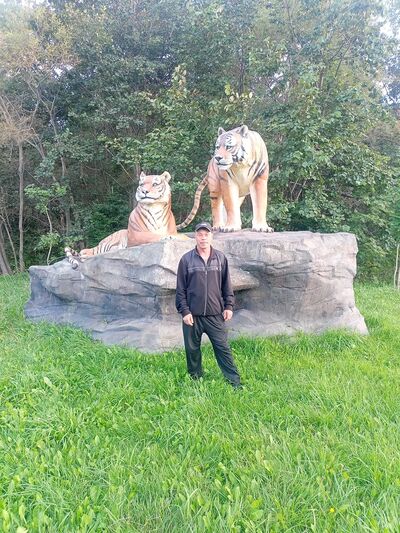  -,   , 39 ,   ,   , c 