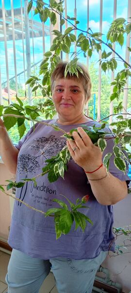  -,   Elena, 50 ,   ,   