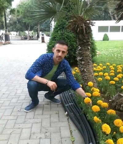  ,    , 40 ,   ,   