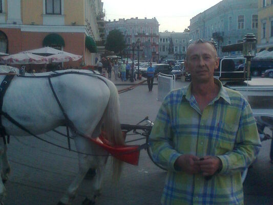  ,   , 54 ,   