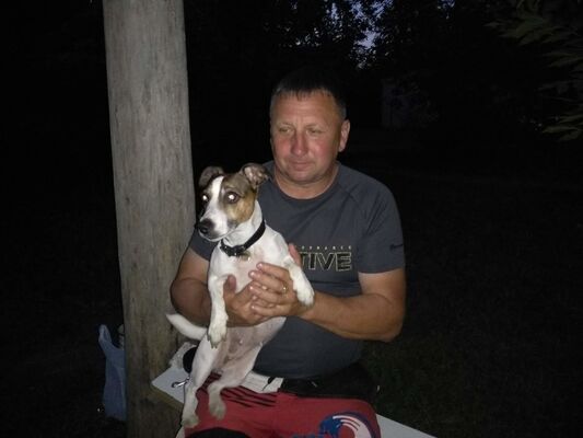  ,   , 59 ,  